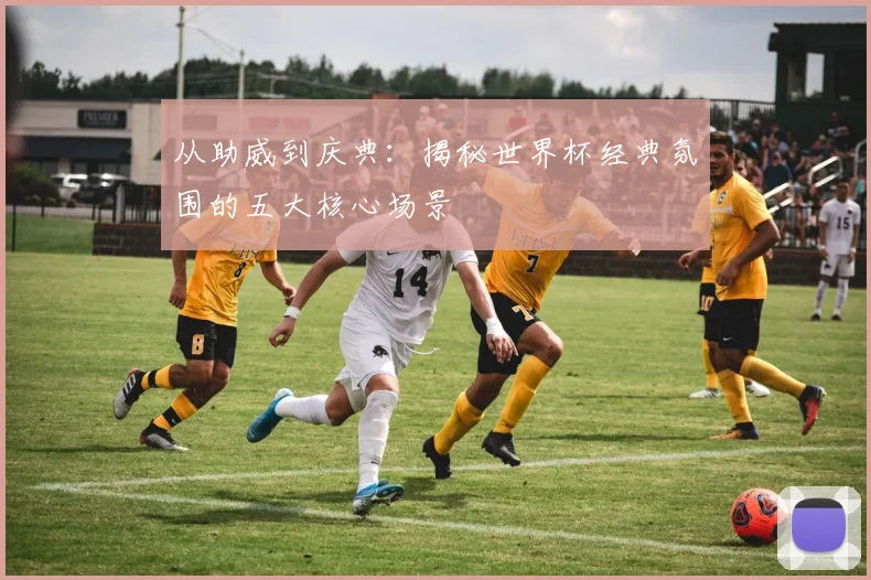 从助威到庆典:揭秘世界杯经典氛围的五大核心场景