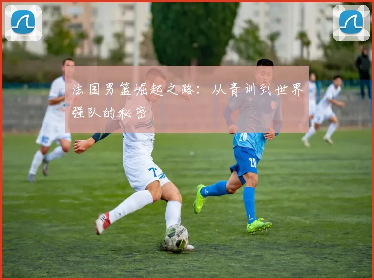 法国男篮崛起之路：从青训到世界强队的秘密